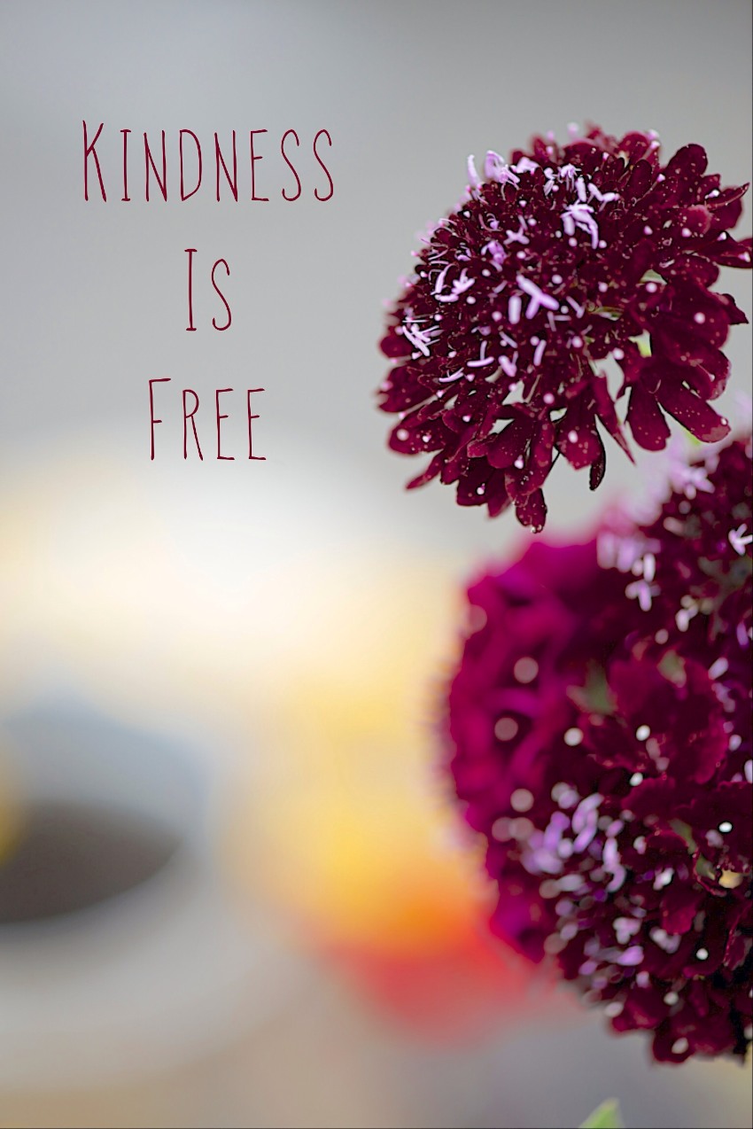 Kindness is free picture